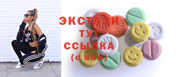 дживик Богородск