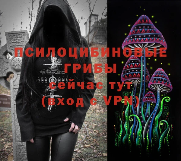 дживик Богородск