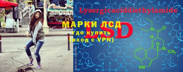 дживик Богородск