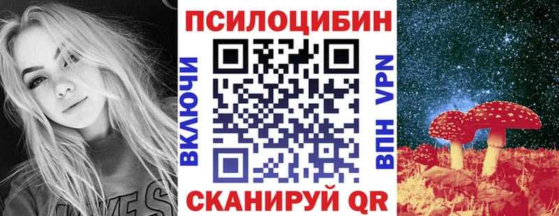 Галлюциногенные грибы мухоморы  купить наркотик  Саянск 